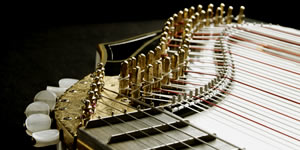 shop_zither